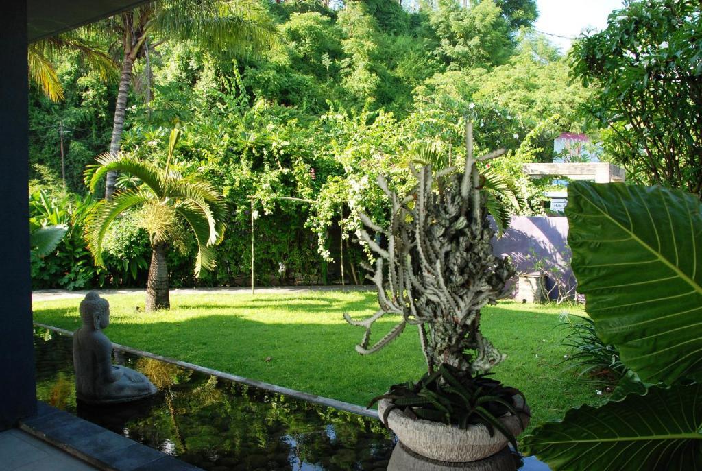 Cafe Alberto B And B Senggigi Exterior foto